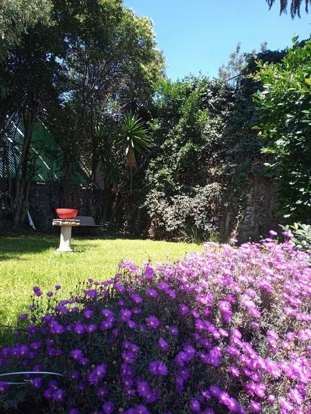 Casa en venta · Jardines del Pedregal, Álvaro Obregón, Ciudad de México