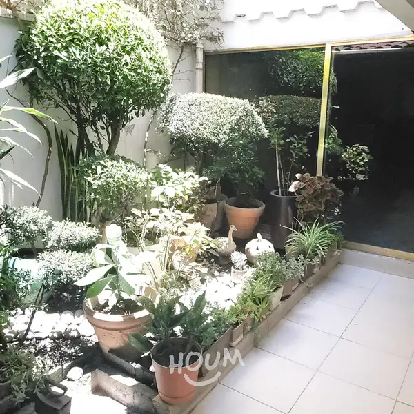 Foto 21