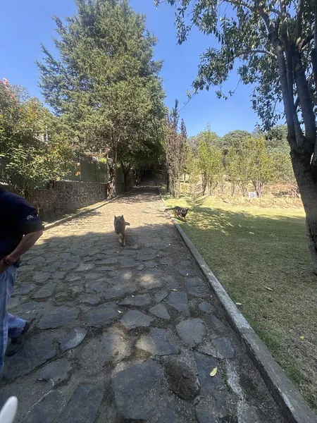 Lote en venta · Santo Tomas Ajusco, Tlalpan, Ciudad de México