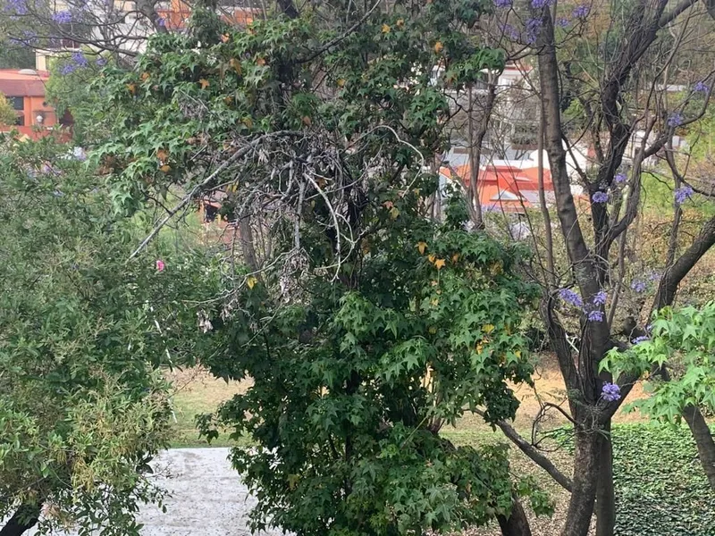 Foto 15