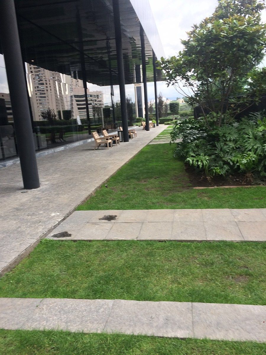 Departamento en venta · Lomas del Chamizal, Cuajimalpa de Morelos, Ciudad de México Departamento en venta · Lomas del Chamizal, Cuajimalpa de Morelos, Ciudad de México
