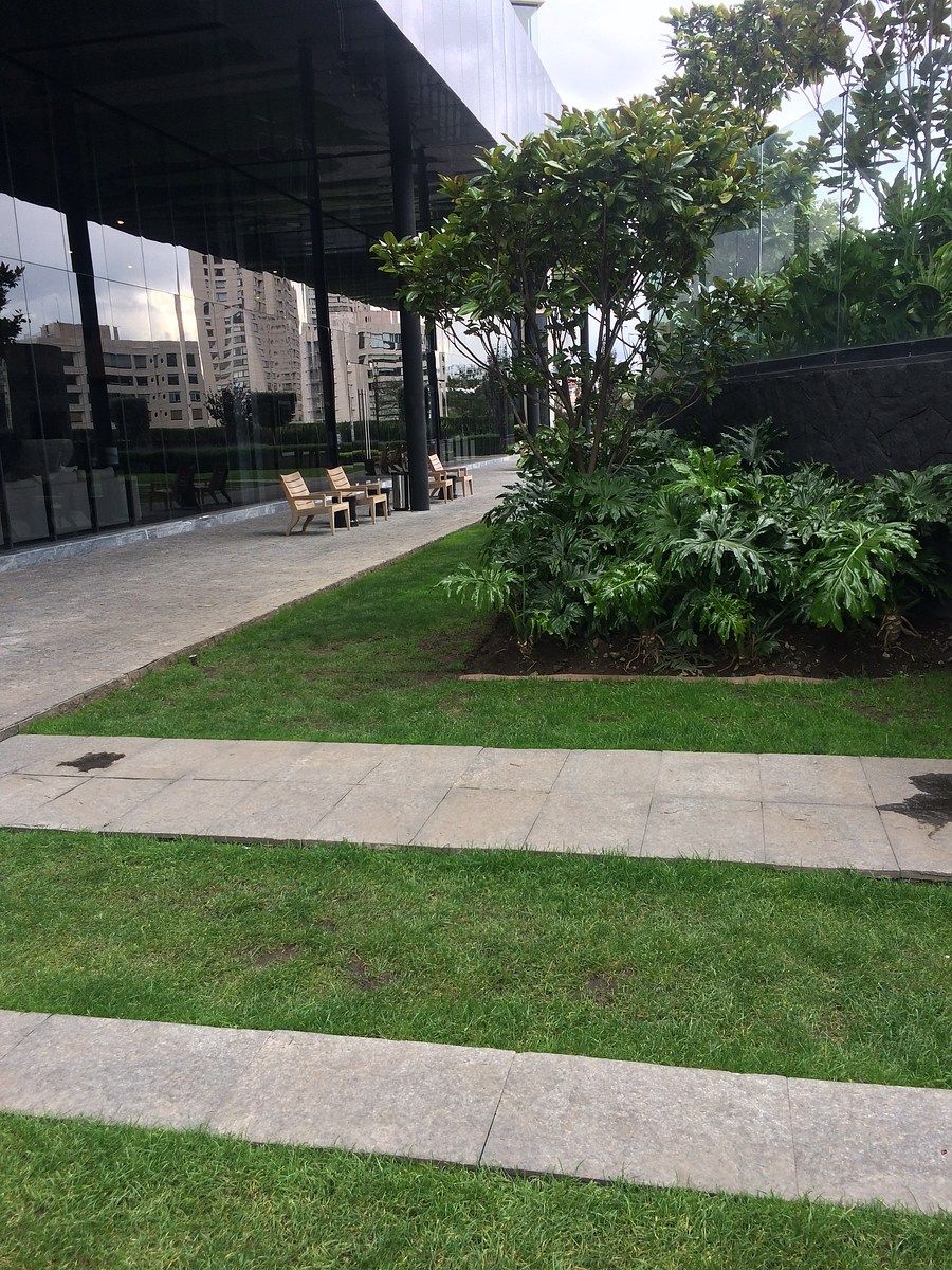 Departamento en venta · Lomas del Chamizal, Cuajimalpa de Morelos, Ciudad de México Departamento en venta · Lomas del Chamizal, Cuajimalpa de Morelos, Ciudad de México