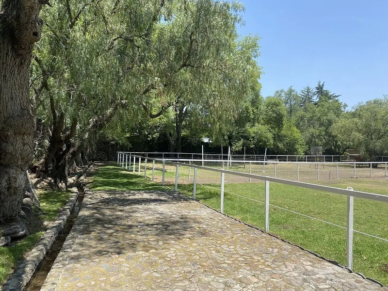 Foto 47