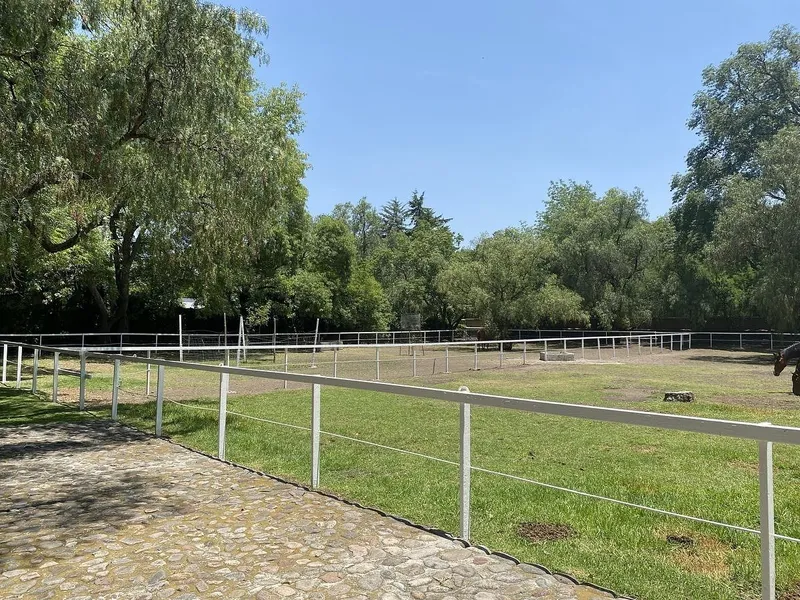 Foto 46