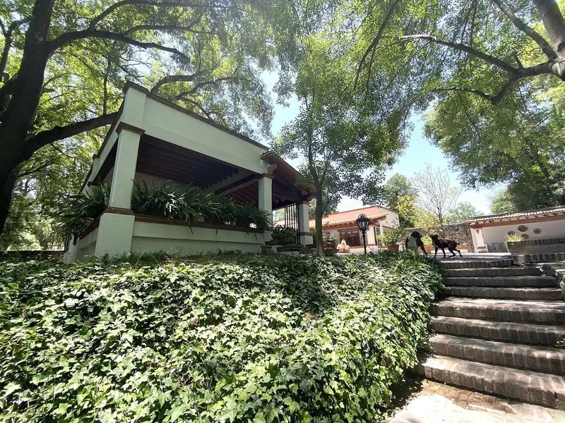 Foto 5