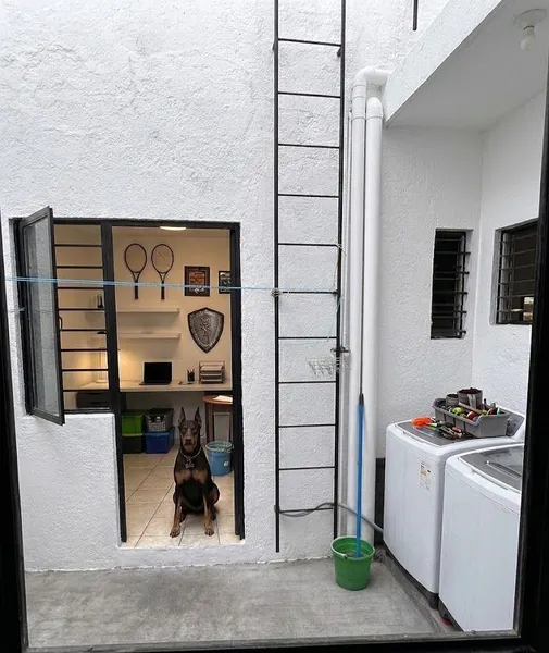 Foto 8