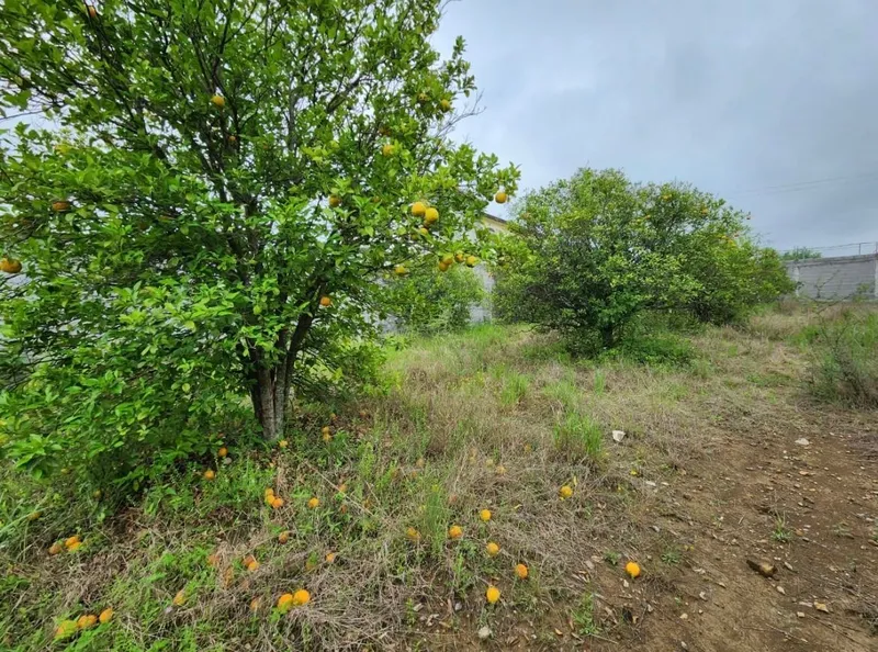 Lote en venta · Residencial Campestre El Faisán, Santiago, Nuevo León