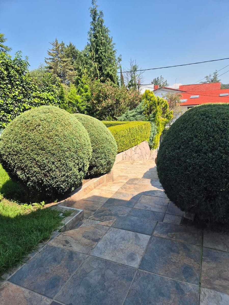 Foto 15