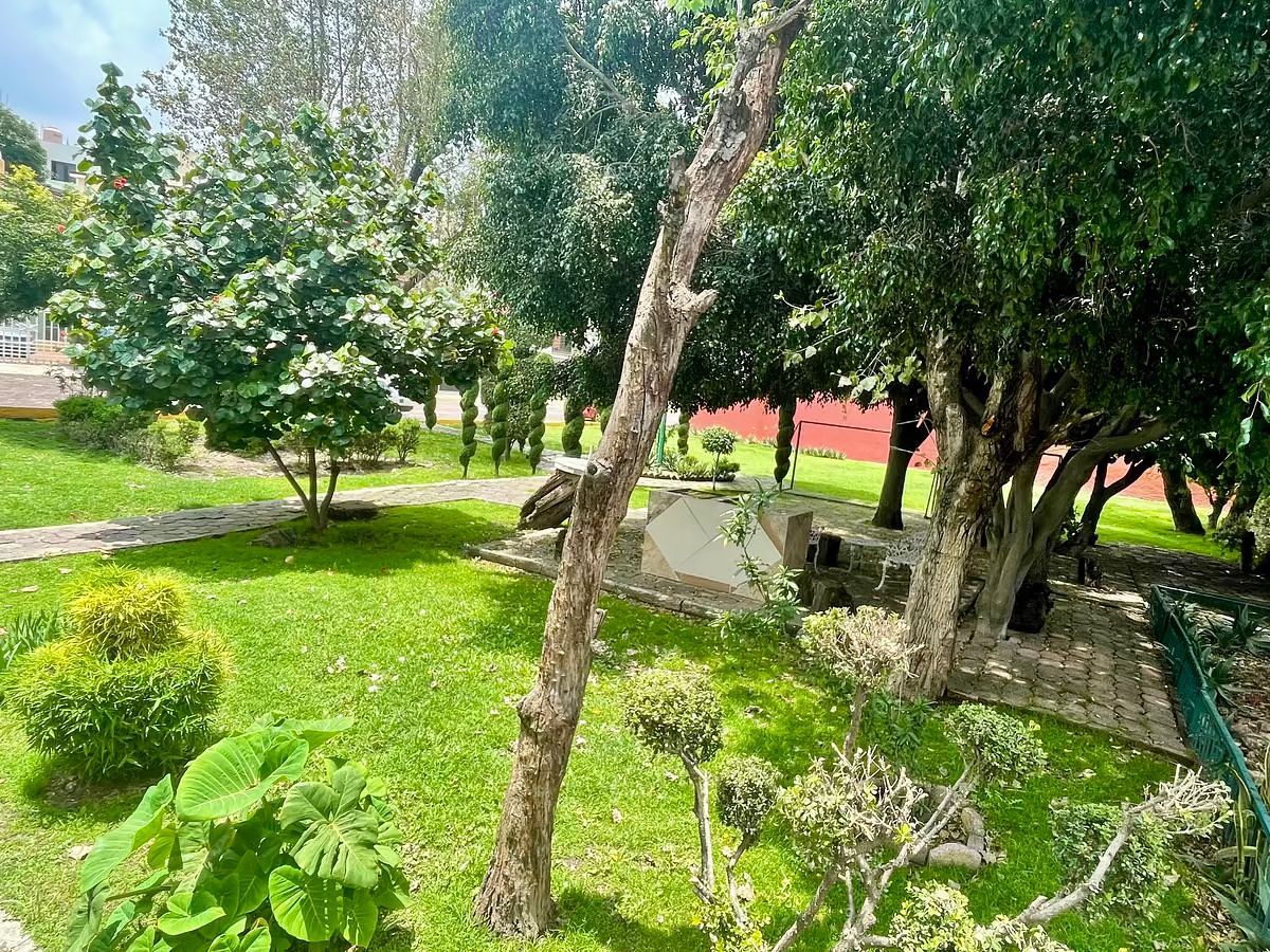 Foto 24