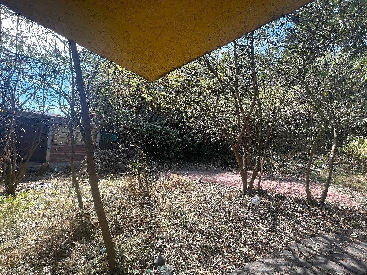 Foto 9