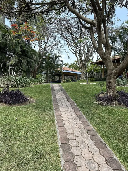 Foto 15