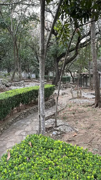 Foto 16