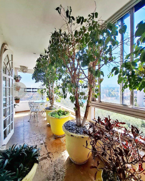 Departamento en venta · Lomas de Chapultepec I Sección, Lomas de Chapultepec, Chapultepec, Miguel Hidalgo, Ciudad de México