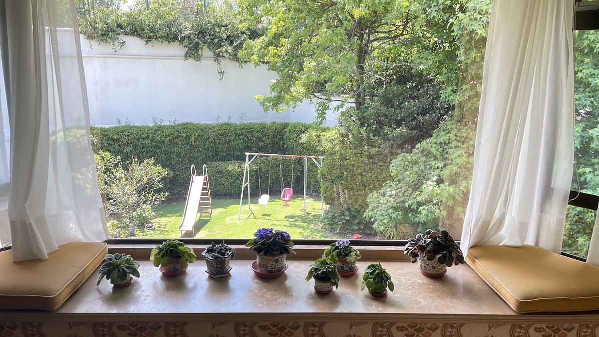 Foto 19