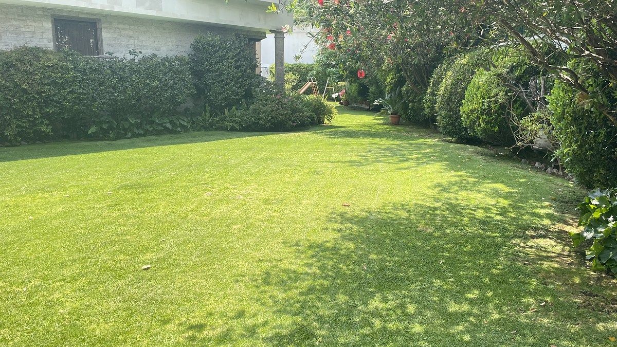 Foto 29