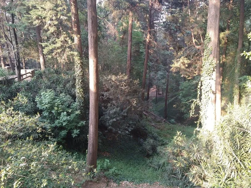 Foto 50