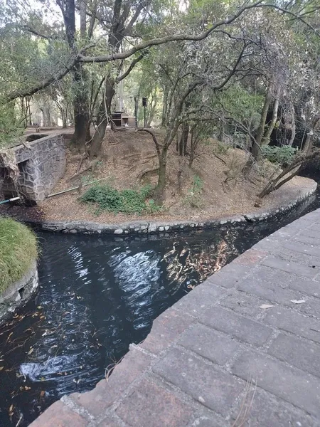 Foto 13