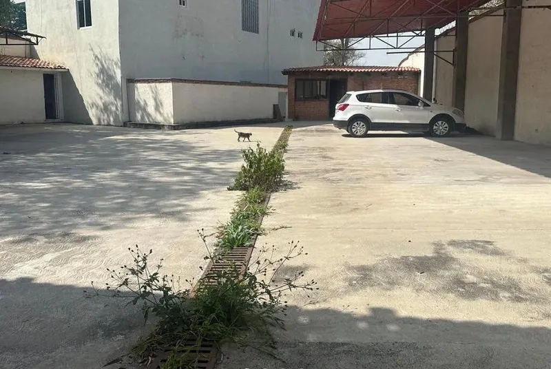 Foto 7