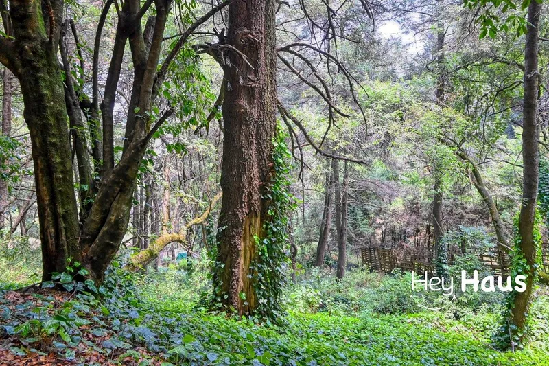Lote en venta · Santa Rosa Xochiac, Álvaro Obregón, Ciudad de México
