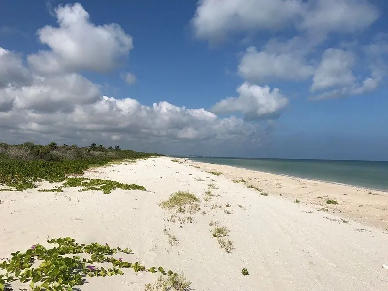 Lote en venta · Sisal, Hunucmá, Yucatán