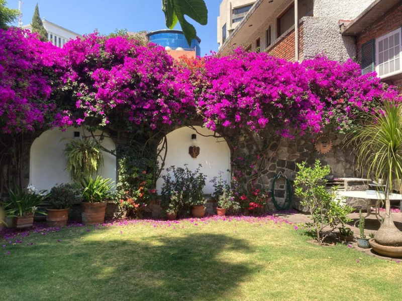 Casa en venta · Jardines en la Montaña, Tlalpan, Ciudad de México