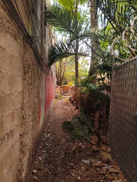 Lote en venta · Los Reyes, Coyoacán, Ciudad de México