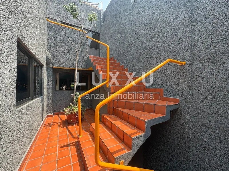 Foto 50
