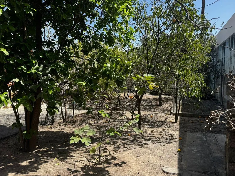 Foto 8