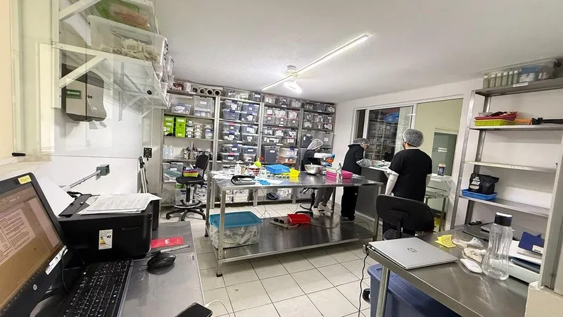Foto 11