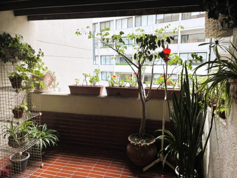 Departamento en venta · Lomas de Chapultepec I Sección, Lomas de Chapultepec, Chapultepec, Miguel Hidalgo, Ciudad de México
