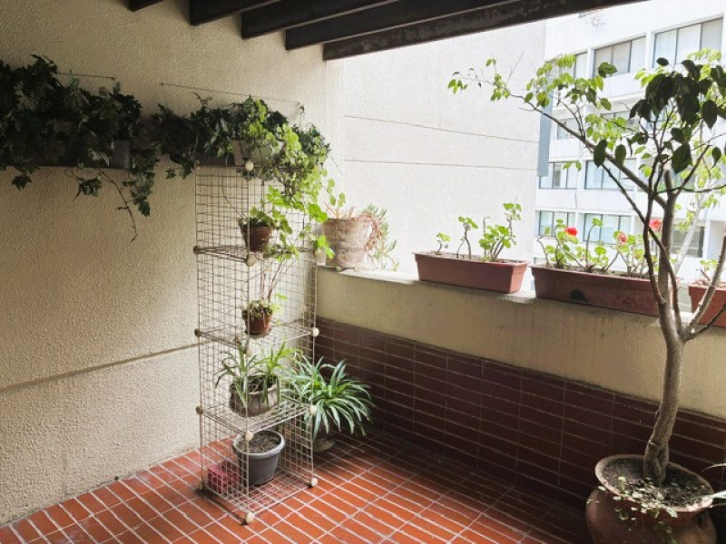 Departamento en venta · Lomas de Chapultepec I Sección, Lomas de Chapultepec, Chapultepec, Miguel Hidalgo, Ciudad de México