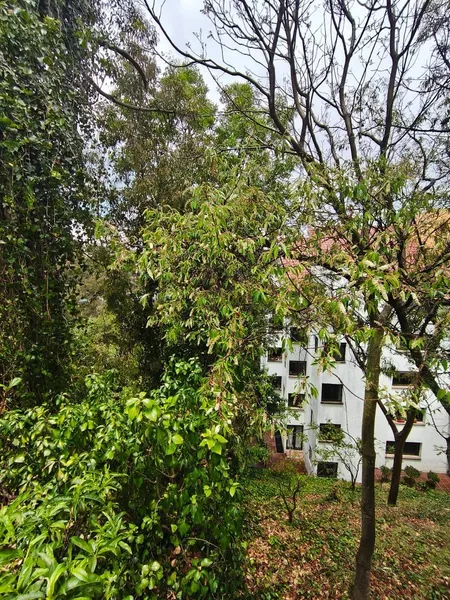 Lote en venta · Ocotillos del Pueblo Tetelpan, Álvaro Obregón, Ciudad de México