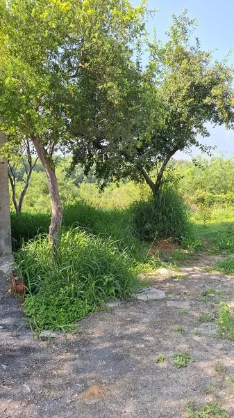 Foto 18
