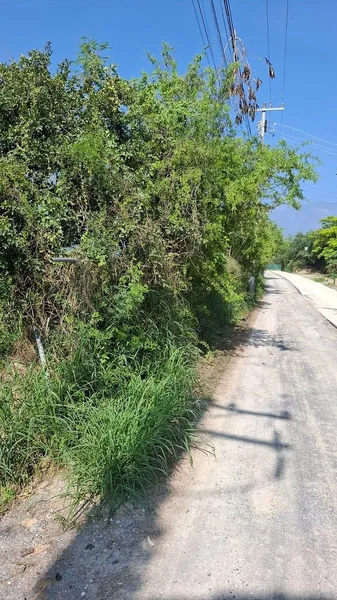 Foto 16