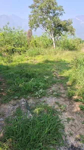 Foto 12