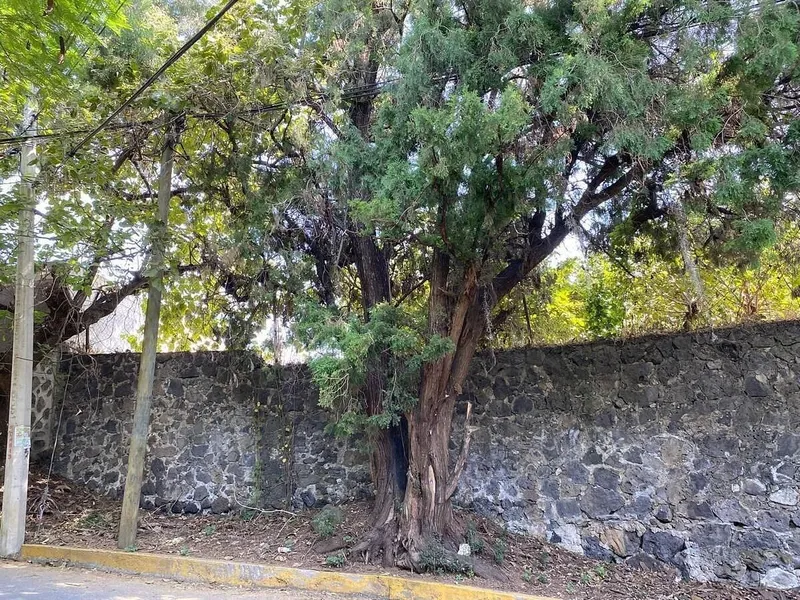 Foto 12