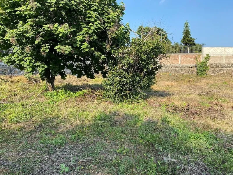 Lote en venta · Ahuatepec, Cuernavaca, Morelos