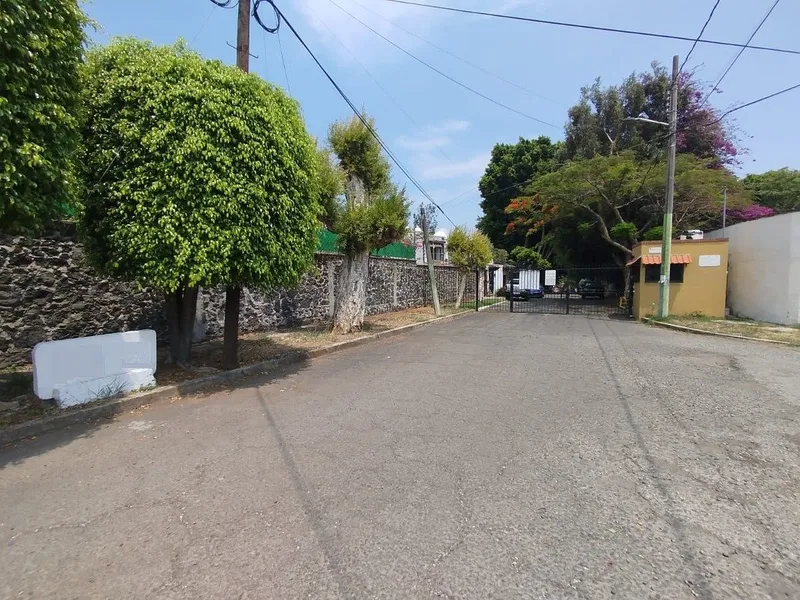 Foto 48