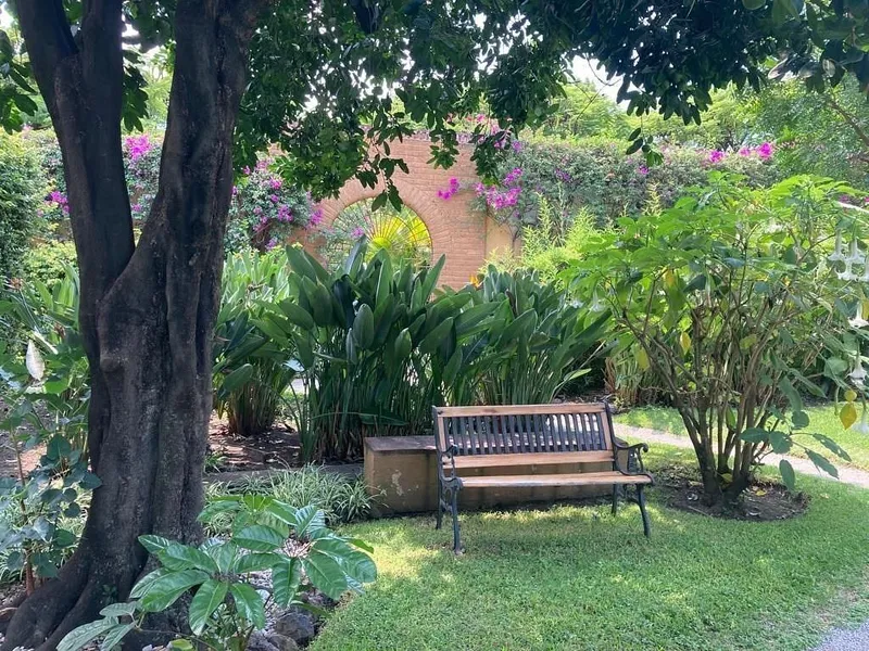 Foto 11