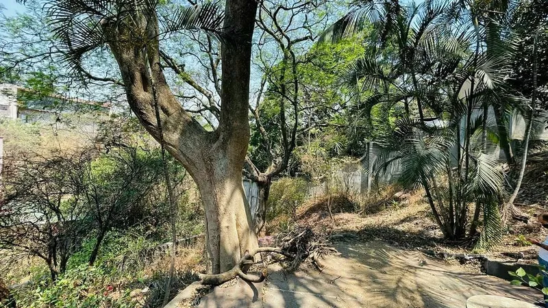Foto 15