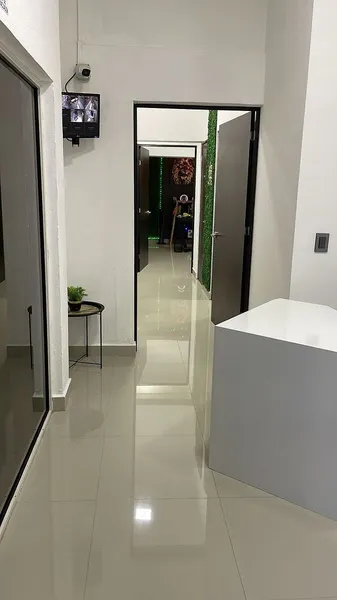Foto 7
