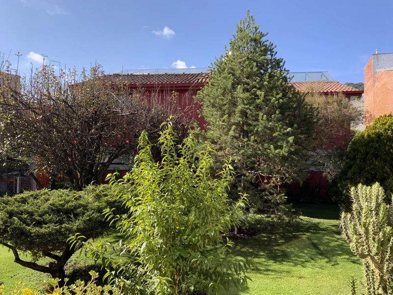 IMG_0538.jpeg