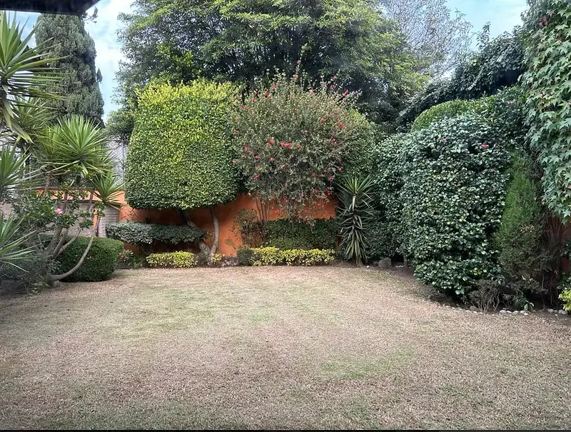Foto 21