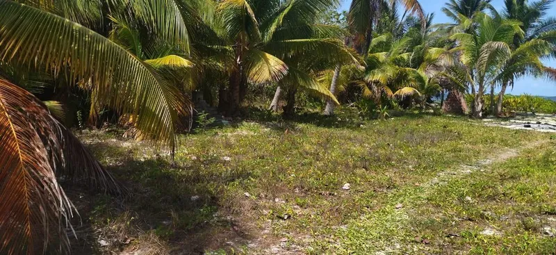 Foto 8
