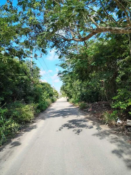 Lote en venta · Cancún, Benito Juárez, Quintana Roo