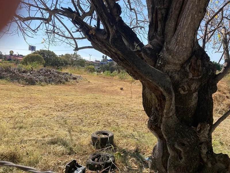 Foto 4