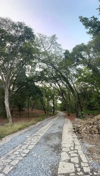 Lote en venta · San Francisco, Santiago, Nuevo León