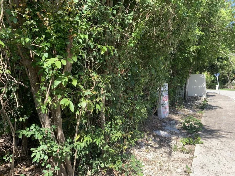 Lote en venta · Akumal, Tulum, Quintana Roo Lote en venta · Akumal, Tulum, Quintana Roo