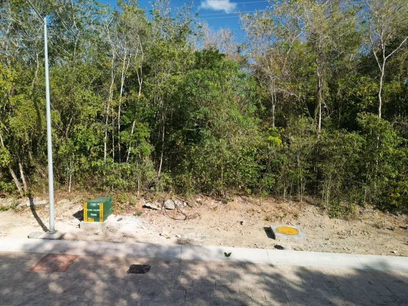 Lote en venta · Ciudad Mayakoba, Playa del Carmen, Solidaridad, Quintana Roo