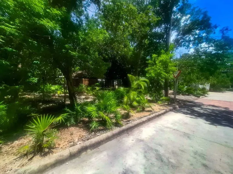 Foto 6